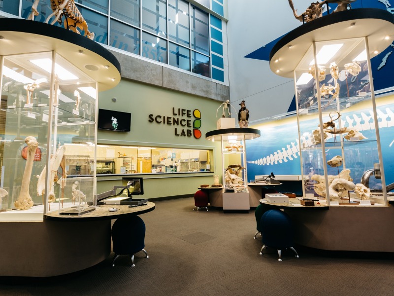 Saint Louis Science Center Gallery